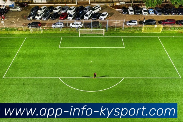 开云app平台生态图