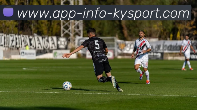 开云appAPP 封面图